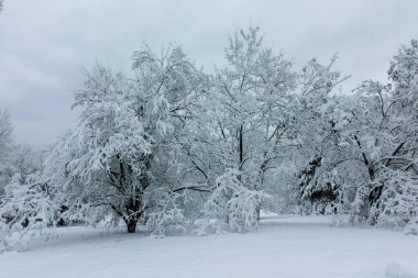 Bulgaristan 'ın Sofya kentindeki South Park manzarası şaşırtıcı.