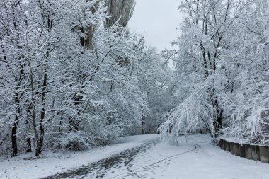 Bulgaristan 'ın Sofya kentindeki South Park manzarası şaşırtıcı.