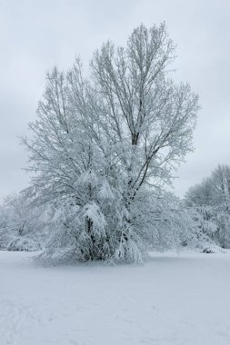 Bulgaristan 'ın Sofya kentindeki South Park manzarası şaşırtıcı.