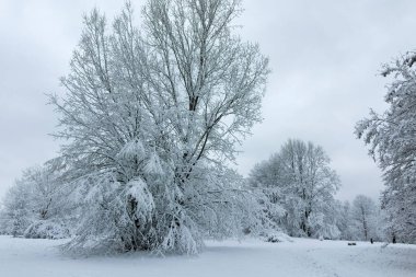 Bulgaristan 'ın Sofya kentindeki South Park manzarası şaşırtıcı.