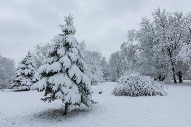 Bulgaristan 'ın Sofya kentindeki South Park manzarası şaşırtıcı.