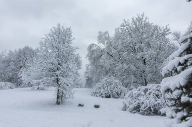Bulgaristan 'ın Sofya kentindeki South Park manzarası şaşırtıcı.