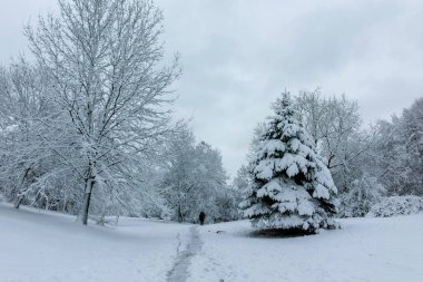 Bulgaristan 'ın Sofya kentindeki South Park manzarası şaşırtıcı.