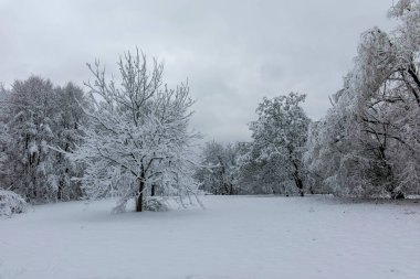 Bulgaristan 'ın Sofya kentindeki South Park manzarası şaşırtıcı.