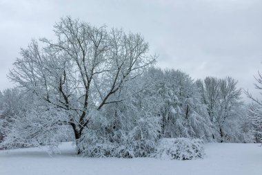 Bulgaristan 'ın Sofya kentindeki South Park manzarası şaşırtıcı.