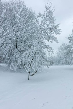 Bulgaristan 'ın Sofya kentindeki South Park manzarası şaşırtıcı.