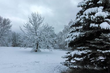 Bulgaristan 'ın Sofya kentindeki South Park manzarası şaşırtıcı.