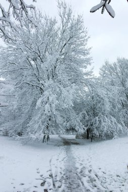 Bulgaristan 'ın Sofya kentindeki South Park manzarası şaşırtıcı.