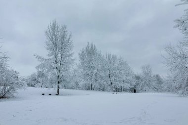 Bulgaristan 'ın Sofya kentindeki South Park manzarası şaşırtıcı.