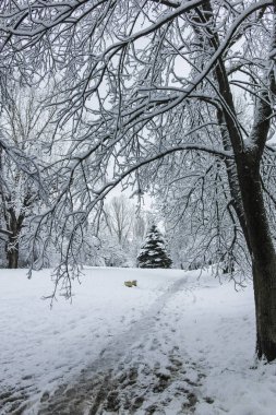 Bulgaristan 'ın Sofya kentindeki South Park manzarası şaşırtıcı.