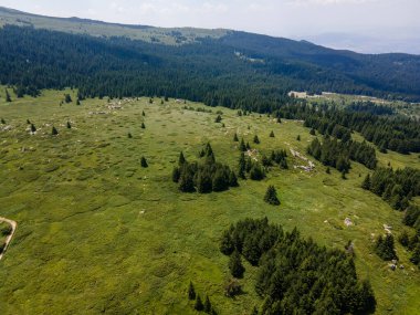 Bulgaristan 'ın Sofya Şehir Bölgesi, Vitosha Dağı' ndaki Konyarnika bölgesinin havadan görüntüsü