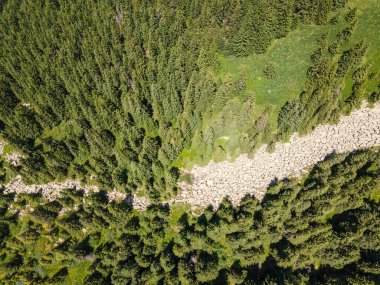 Bulgaristan 'ın Sofya Şehir Bölgesi, Vitosha Dağı' ndaki Konyarnika bölgesinin havadan görüntüsü