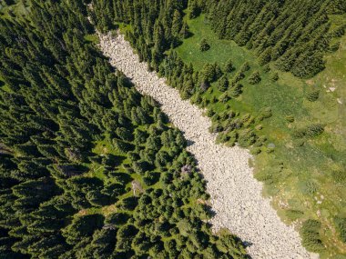 Bulgaristan 'ın Sofya Şehir Bölgesi, Vitosha Dağı' ndaki Konyarnika bölgesinin havadan görüntüsü