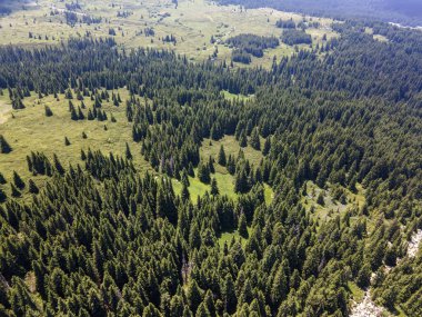 Bulgaristan 'ın Sofya Şehir Bölgesi, Vitosha Dağı' ndaki Konyarnika bölgesinin havadan görüntüsü