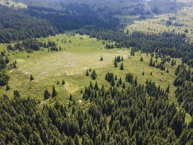 Bulgaristan 'ın Sofya Şehir Bölgesi, Vitosha Dağı' ndaki Konyarnika bölgesinin havadan görüntüsü