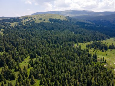 Bulgaristan 'ın Sofya Şehir Bölgesi, Vitosha Dağı' ndaki Konyarnika bölgesinin havadan görüntüsü