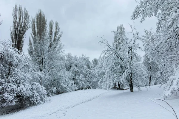 Amazing Winter Panorama Van South Park Stad Sofia Bulgarije — Stockfoto