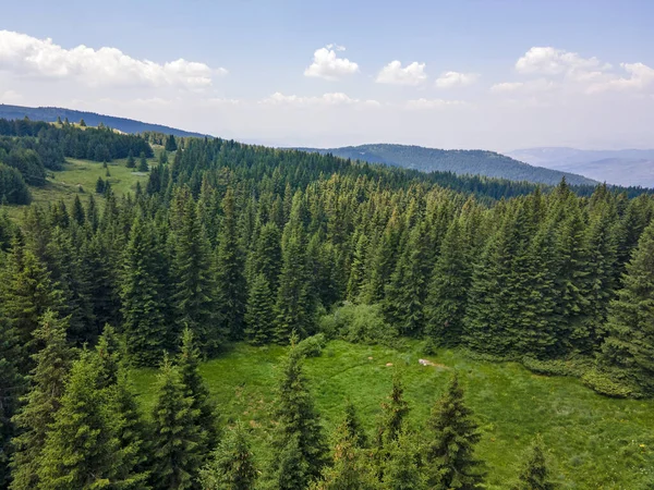 Flygfoto Över Konyarnika Området Vitosha Mountain Sofia City Region Bulgarien — Stockfoto