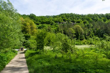 Ortaçağ Albotin Kaya Manastırı, Vidin Bölgesi, Bulgaristan