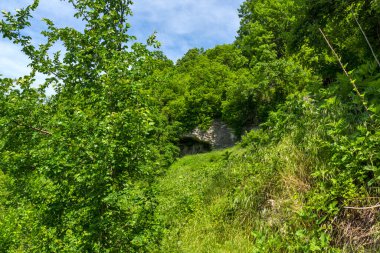 Ortaçağ Albotin Kaya Manastırı, Vidin Bölgesi, Bulgaristan