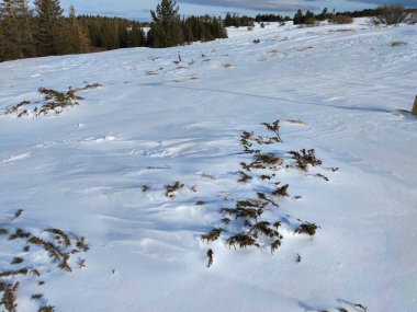 Bulgaristan 'ın başkenti Sofya' nın Vitosha Dağı 'ndaki Platoto bölgesi yakınlarındaki İnanılmaz Kış Manzarası