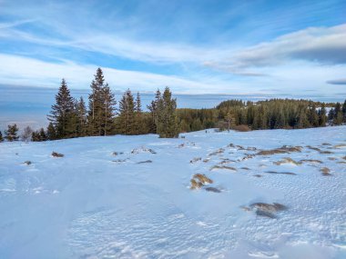 Bulgaristan 'ın başkenti Sofya' nın Vitosha Dağı 'ndaki Platoto bölgesi yakınlarındaki İnanılmaz Kış Manzarası