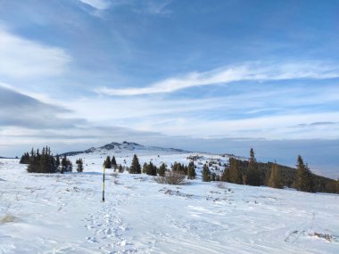 Bulgaristan 'ın başkenti Sofya' nın Vitosha Dağı 'ndaki Platoto bölgesi yakınlarındaki İnanılmaz Kış Manzarası