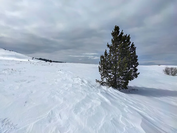 Incroyable Vue Hiver Près Région Platoto Vitosha Mountain Sofia City — Photo