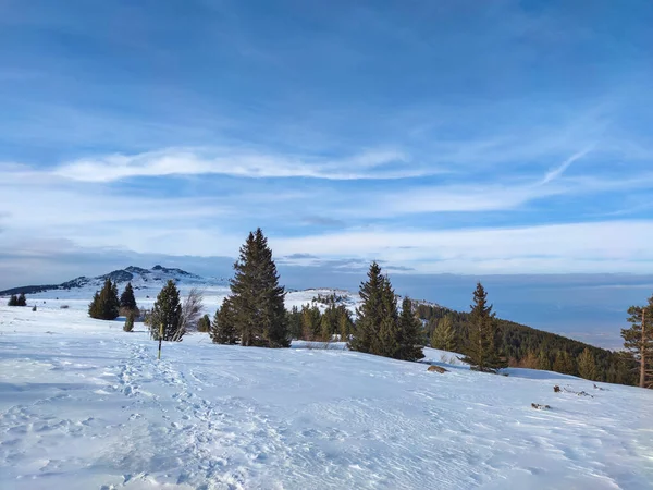 Bulgaristan 'ın başkenti Sofya' nın Vitosha Dağı 'ndaki Platoto bölgesi yakınlarındaki İnanılmaz Kış Manzarası