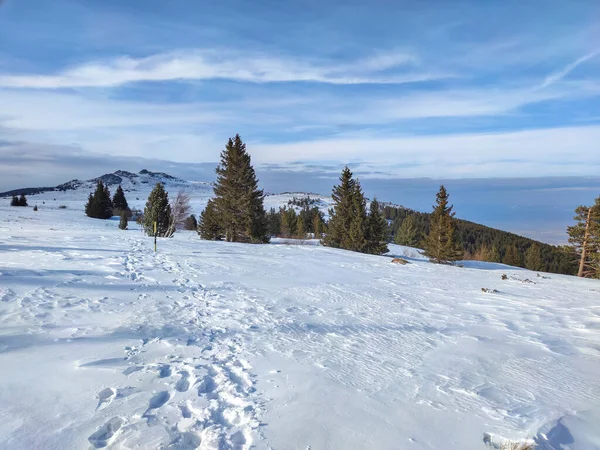 Incroyable Vue Hiver Près Région Platoto Vitosha Mountain Sofia City — Photo