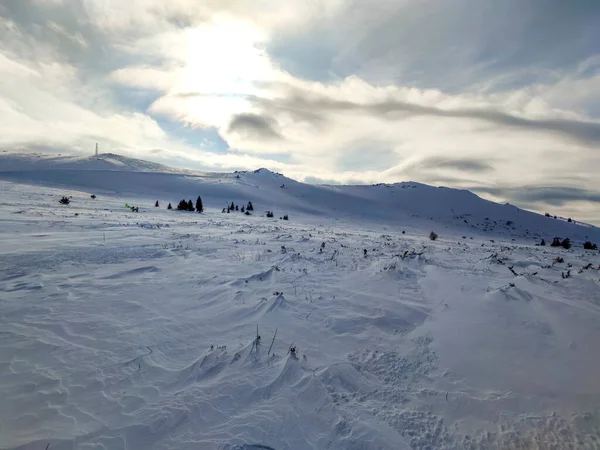 Καταπληκτική Θέα Χειμώνα Κοντά Στην Περιοχή Platoto Στο Vitosha Mountain — Φωτογραφία Αρχείου