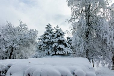 SOFYA, BULGARIA - 30 Kasım 2021: Bulgaristan 'ın Sofya kentindeki South Park' ın şaşırtıcı kış manzarası