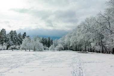 SOFYA, BULGARIA - 30 Kasım 2021: Bulgaristan 'ın Sofya kentindeki South Park' ın şaşırtıcı kış manzarası