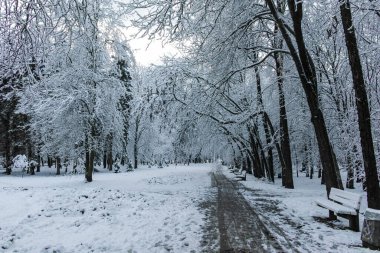 SOFYA, BULGARIA - 30 Kasım 2021: Bulgaristan 'ın Sofya kentindeki South Park' ın şaşırtıcı kış manzarası