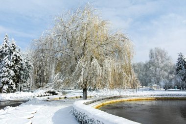 SOFYA, BULGARIA - 30 Kasım 2021: Bulgaristan 'ın Sofya kentindeki South Park' ın şaşırtıcı kış manzarası