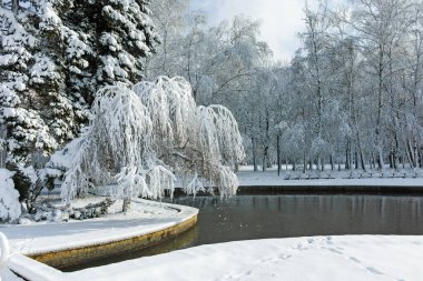 SOFYA, BULGARIA - 30 Kasım 2021: Bulgaristan 'ın Sofya kentindeki South Park' ın şaşırtıcı kış manzarası