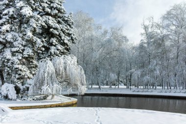 SOFYA, BULGARIA - 30 Kasım 2021: Bulgaristan 'ın Sofya kentindeki South Park' ın şaşırtıcı kış manzarası