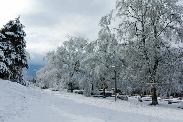 Sofia Bulgaria Novembre 2021 Incredibile Panorama Invernale South Park Nella — Foto Stock