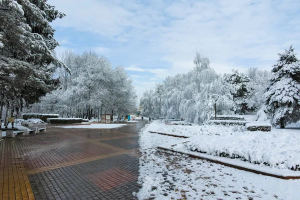 Sofia Bulgarije November 2021 Verbazingwekkend Winter Panorama Van South Park — Stockfoto