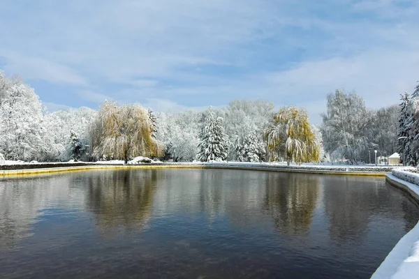 София Бульгария Ноября 2021 Удивительный Вид Зимний Парк Городе София Стоковая Картинка