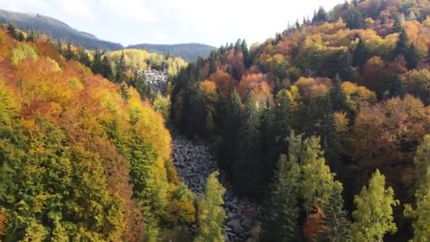 Vista Aérea Inverno Rio Stone Conhecido Como Zlatnite Mostove Golden — Vídeo de Stock