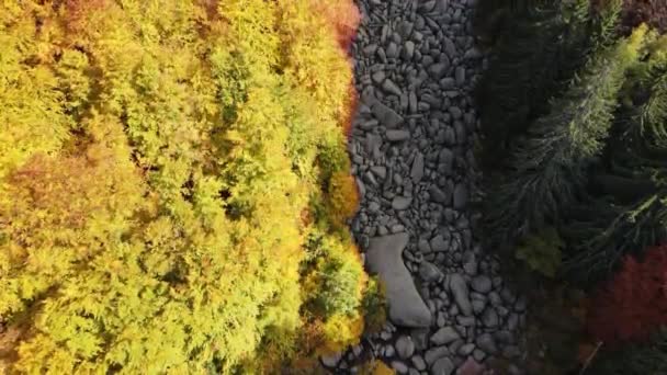 Pemandangan Musim Dingin Udara Dari Sungai Stone Dikenal Sebagai Zlatnite — Stok Video