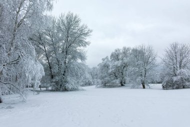 Bulgaristan 'ın Sofya kentindeki South Park' ın şaşırtıcı kış manzarası