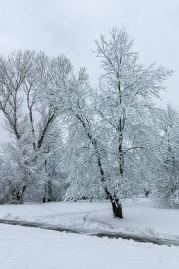 Bulgaristan 'ın Sofya kentindeki South Park' ın şaşırtıcı kış manzarası