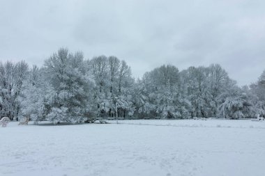 Bulgaristan 'ın Sofya kentindeki South Park' ın şaşırtıcı kış manzarası