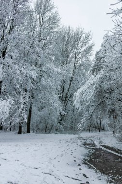 Bulgaristan 'ın Sofya kentindeki South Park' ın şaşırtıcı kış manzarası