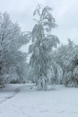 Bulgaristan 'ın Sofya kentindeki South Park' ın şaşırtıcı kış manzarası