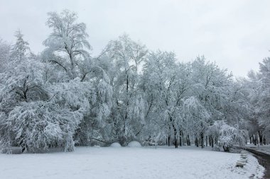 Bulgaristan 'ın Sofya kentindeki South Park' ın şaşırtıcı kış manzarası