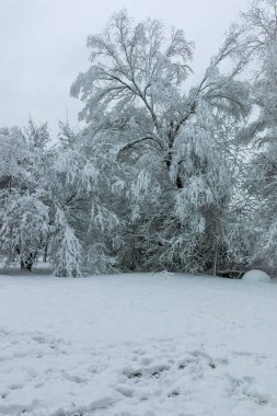 Bulgaristan 'ın Sofya kentindeki South Park' ın şaşırtıcı kış manzarası