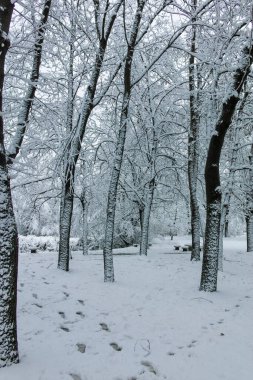 Bulgaristan 'ın Sofya kentindeki South Park' ın şaşırtıcı kış manzarası